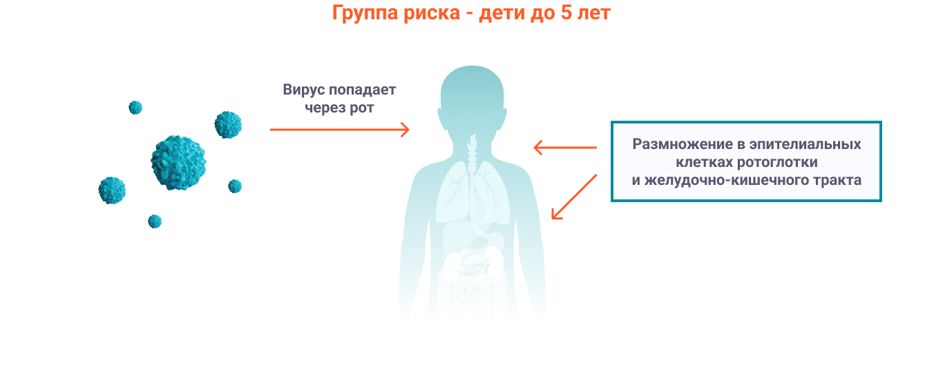 полиомиелит как переносится